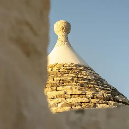 Orutra نوتشي